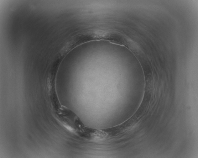 X0000074960215200609011155