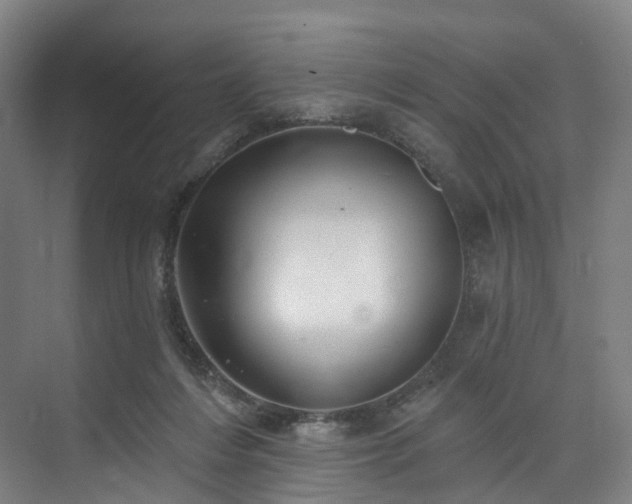 X0000074960216200609011155