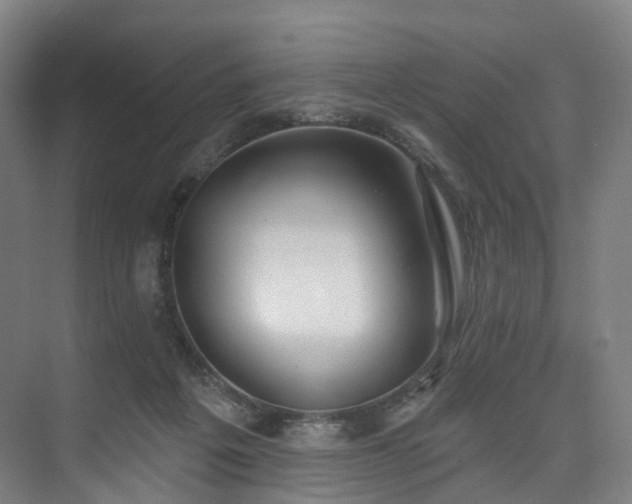 X0000074960217200609011155