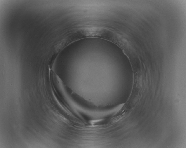 X0000074960219200609011155