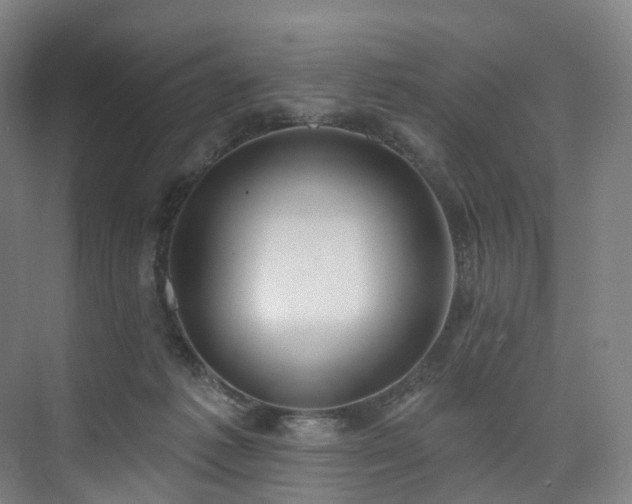 X0000074960221200609011155