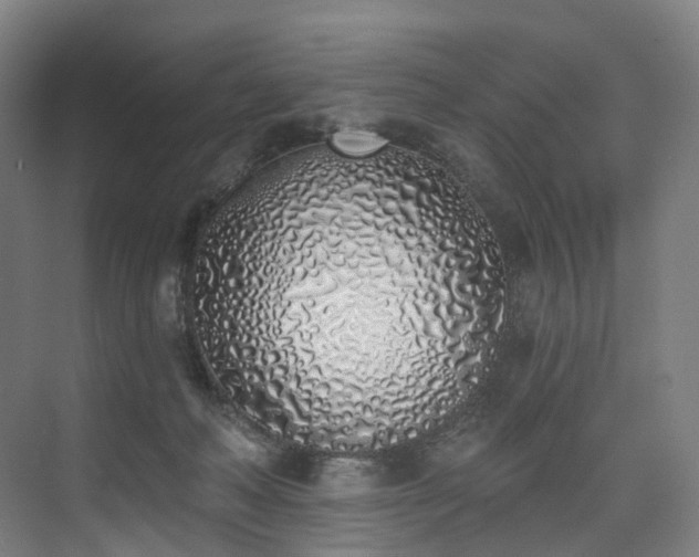 X0000074960222200609011155