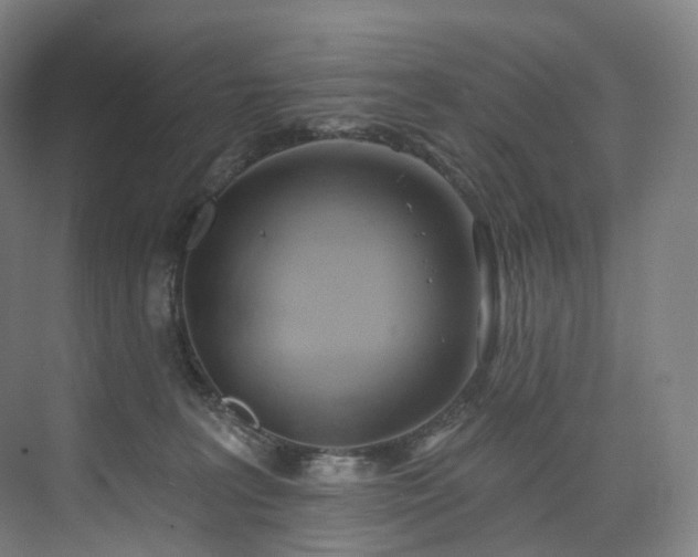 X0000074960227200609011154