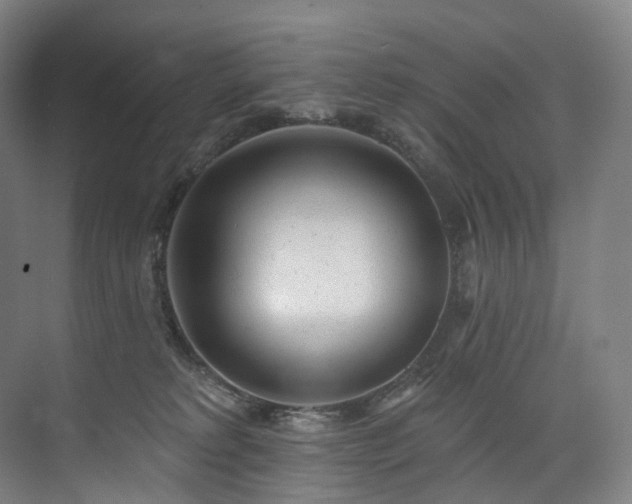 X0000074960229200609011154