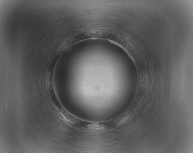 X0000074960231200609011154
