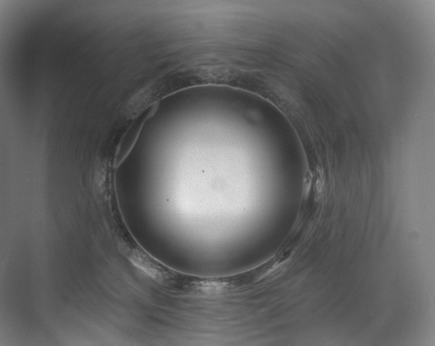 X0000074960233200609011154