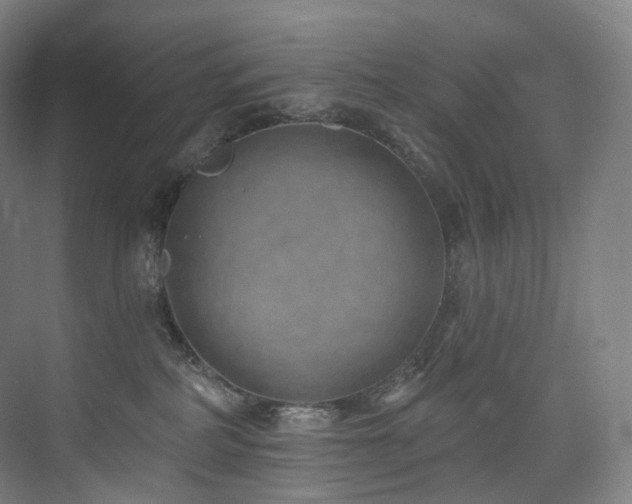 X0000074960234200609011154