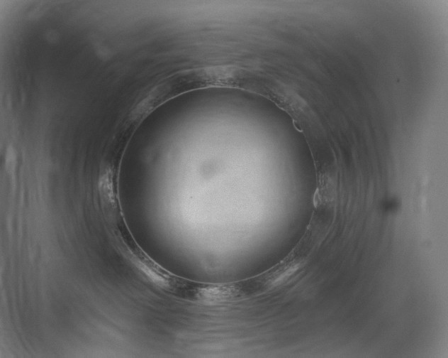 X0000074960238200609011154