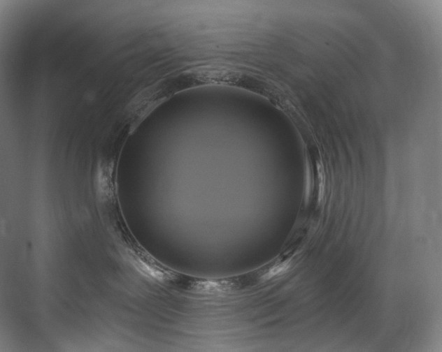 X0000074960239200609011154