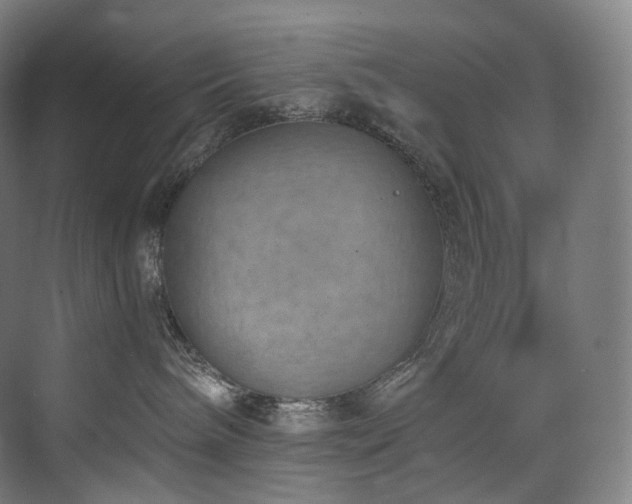 X0000074960240200609011154