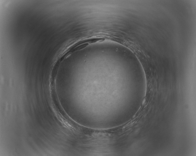 X0000074960242200609011153