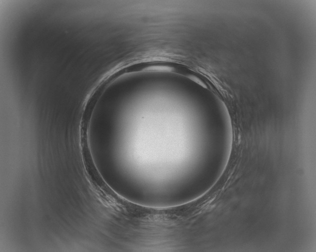 X0000074960244200609011153