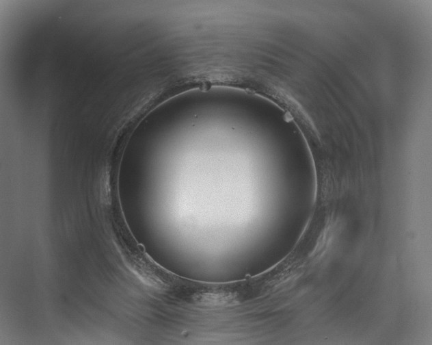 X0000074960251200609011154