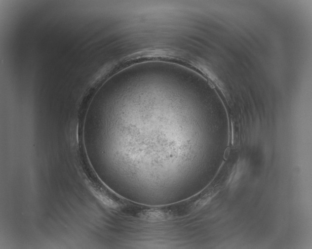 X0000074960253200609011154