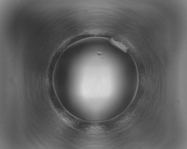 X0000074960256200609011154
