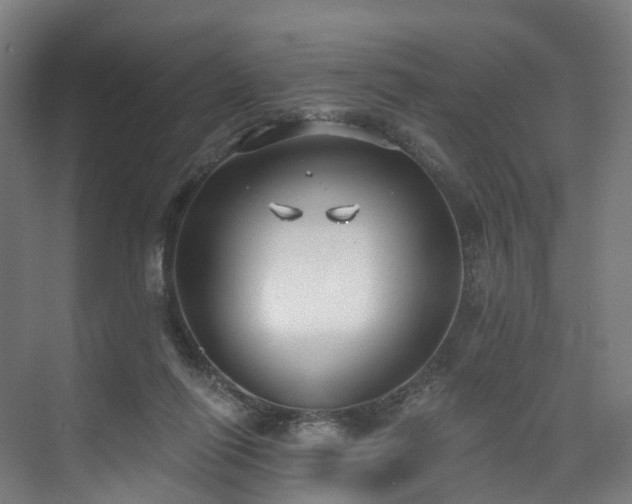 X0000074960262200609011154