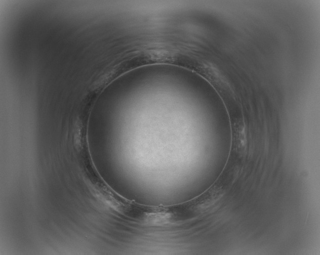 X0000074960266200609011154