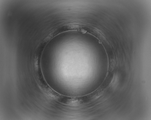X0000074960267200609011154