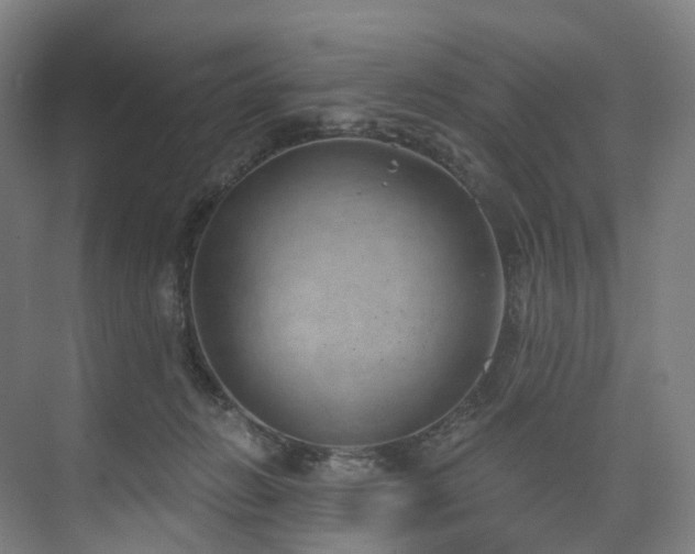 X0000074960270200609011154