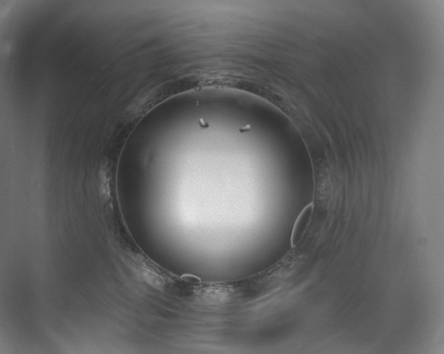 X0000074960282200609011154