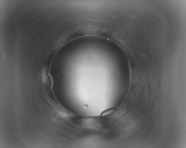 X0000074960287200609011154