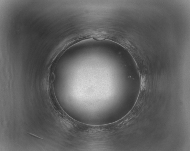 X0000074960291200609011153