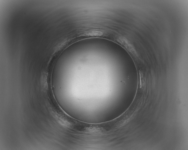 X0000074960300200609011153