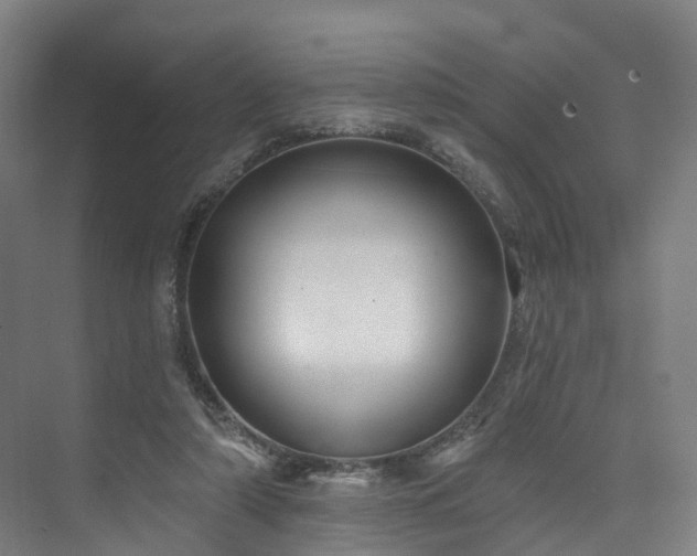 X0000074960306200609011153