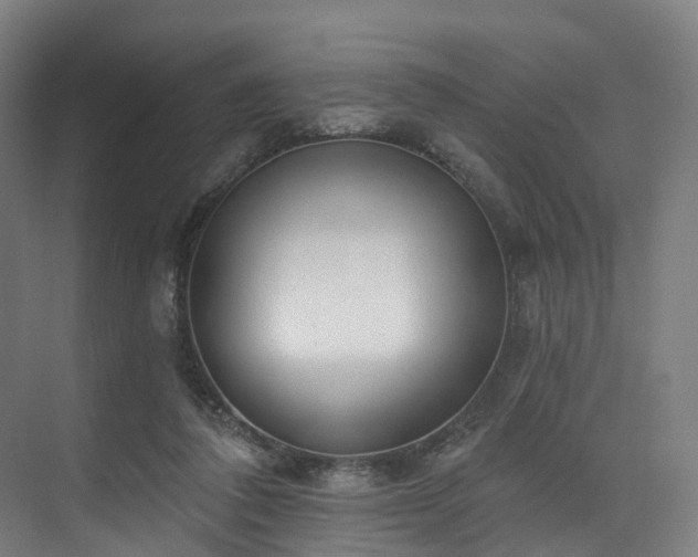 X0000074960308200609011153