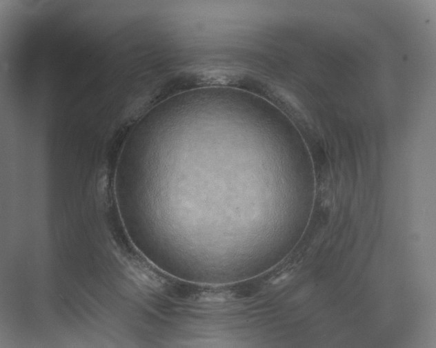 X0000074960314200609011153