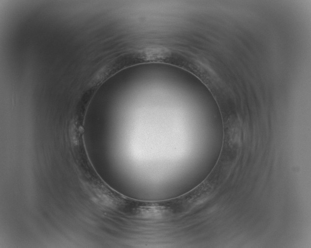 X0000074960316200609011153