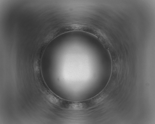 X0000074960317200609011153