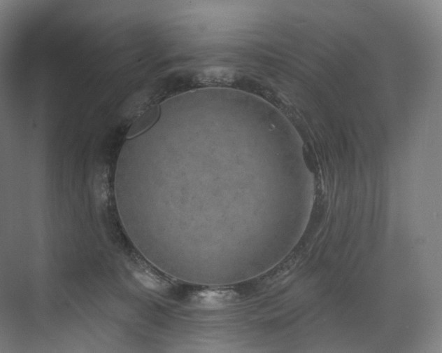 X0000074960323200609011153