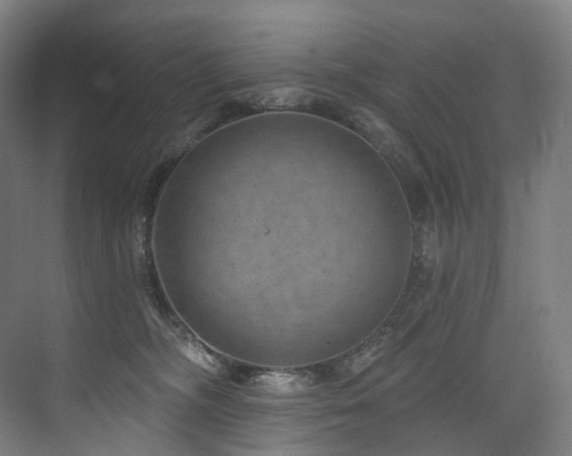 X0000074960326200609011153