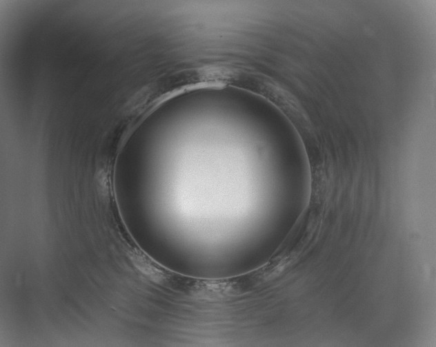 X0000074960329200609011153