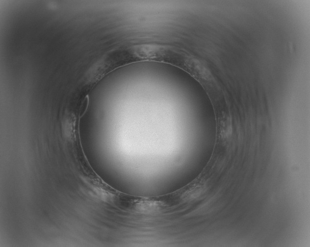 X0000074960332200609011153