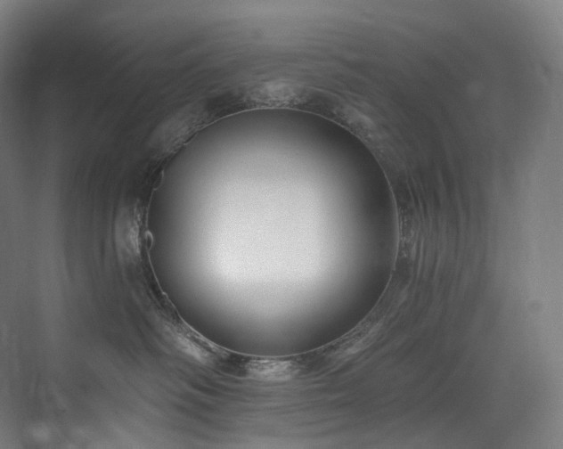 X0000074960334200609011153