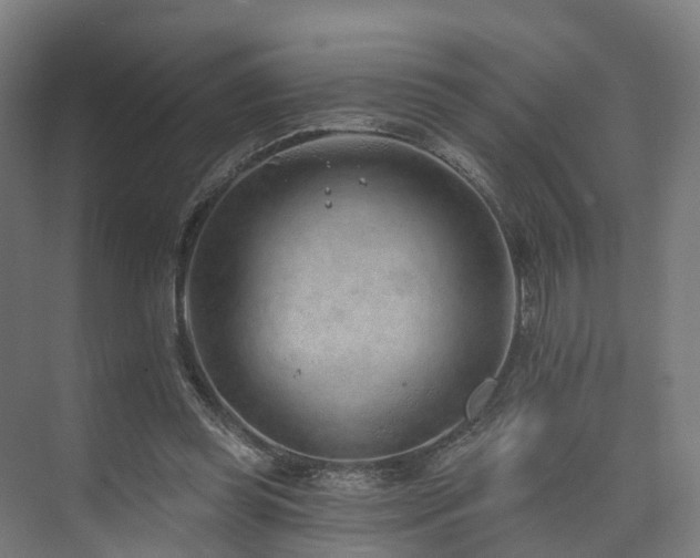 X0000074960349200609011152