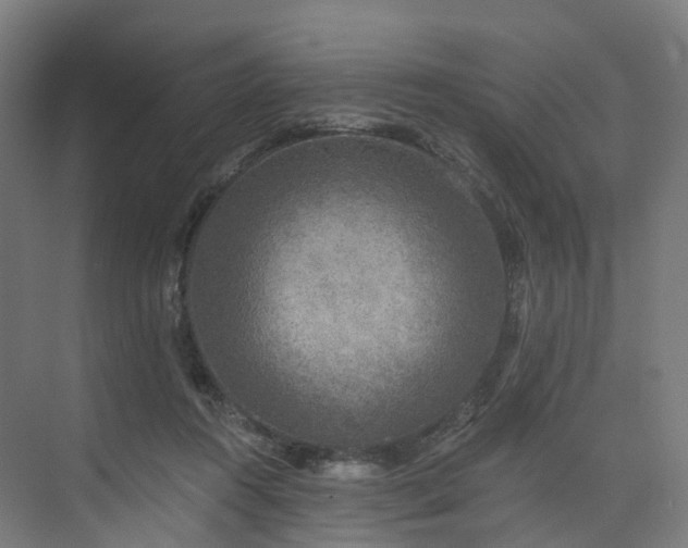 X0000074960360200609011152