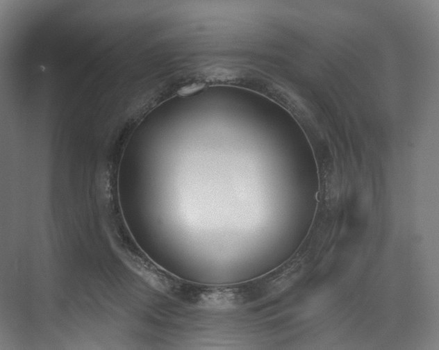X0000074960362200609011152