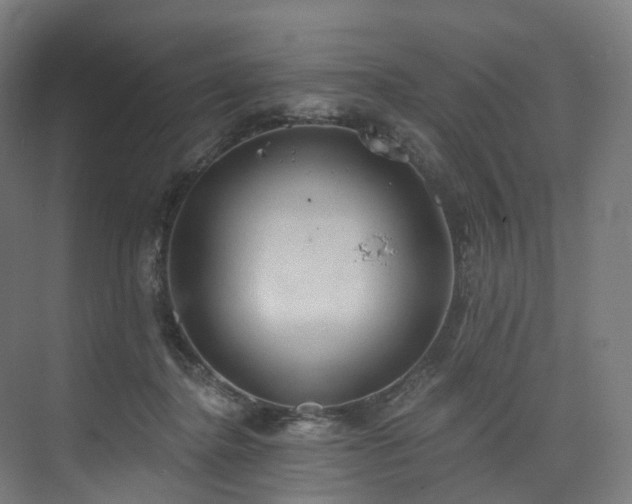 X0000074960364200609011152