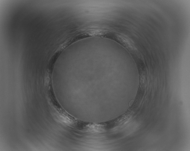 X0000074960367200609011152
