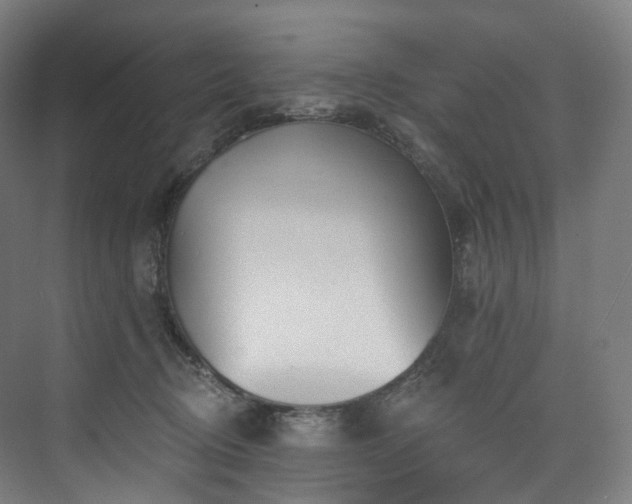 X0000074960370200609011152