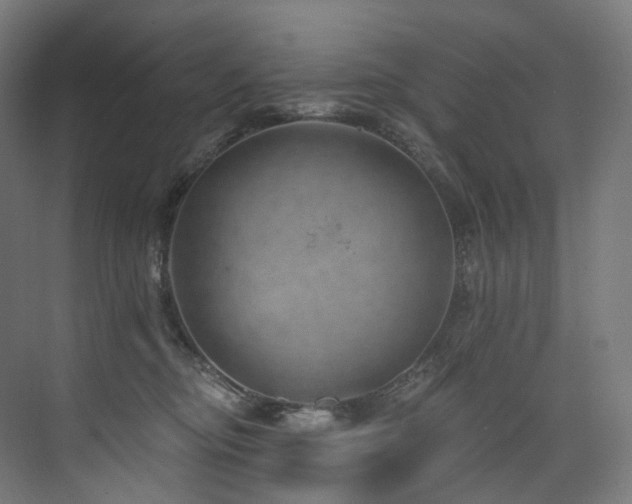 X0000074960374200609011152