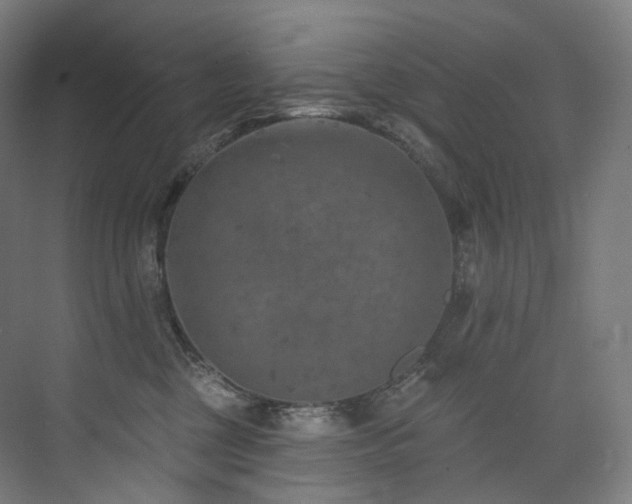 X0000074960377200609011152