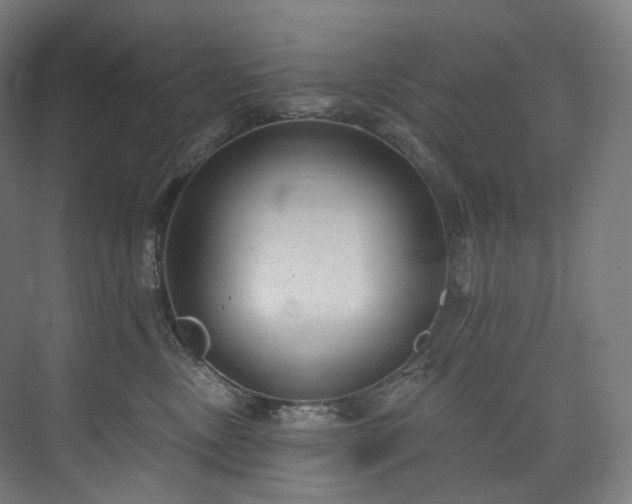 X0000074960378200609011152