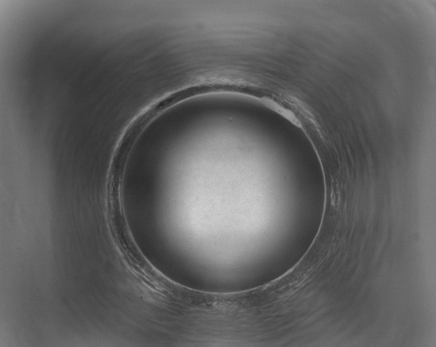 X0000074960388200609011152