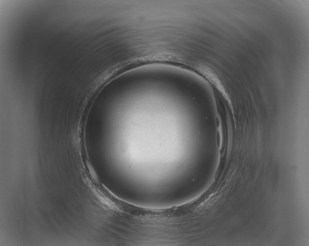 X0000074960389200609011152
