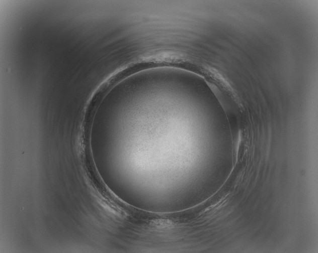 X0000074960392200609011152