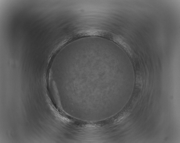 X0000074960394200609011152
